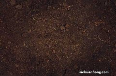 家庭养花土壤消毒的方法