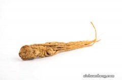 人参盆栽如何养殖