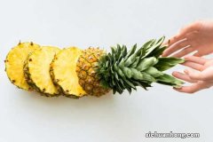 菠萝的花语和历史