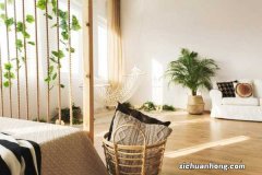 盆栽芙蓉花的养殖方法