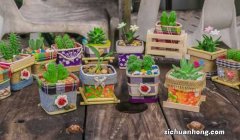 花卉常见的病害类型